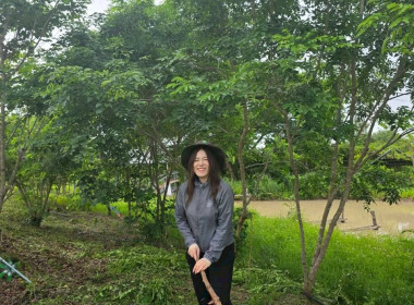 สำนักงานสหกรณ์จังหวัดเชียงราย จัดกิจกรรมปลูกพืชสมุนไพร ... พารามิเตอร์รูปภาพ 42